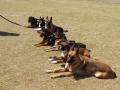 20140216_100932 (2)